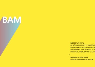 bam-projects.com - BAM projects