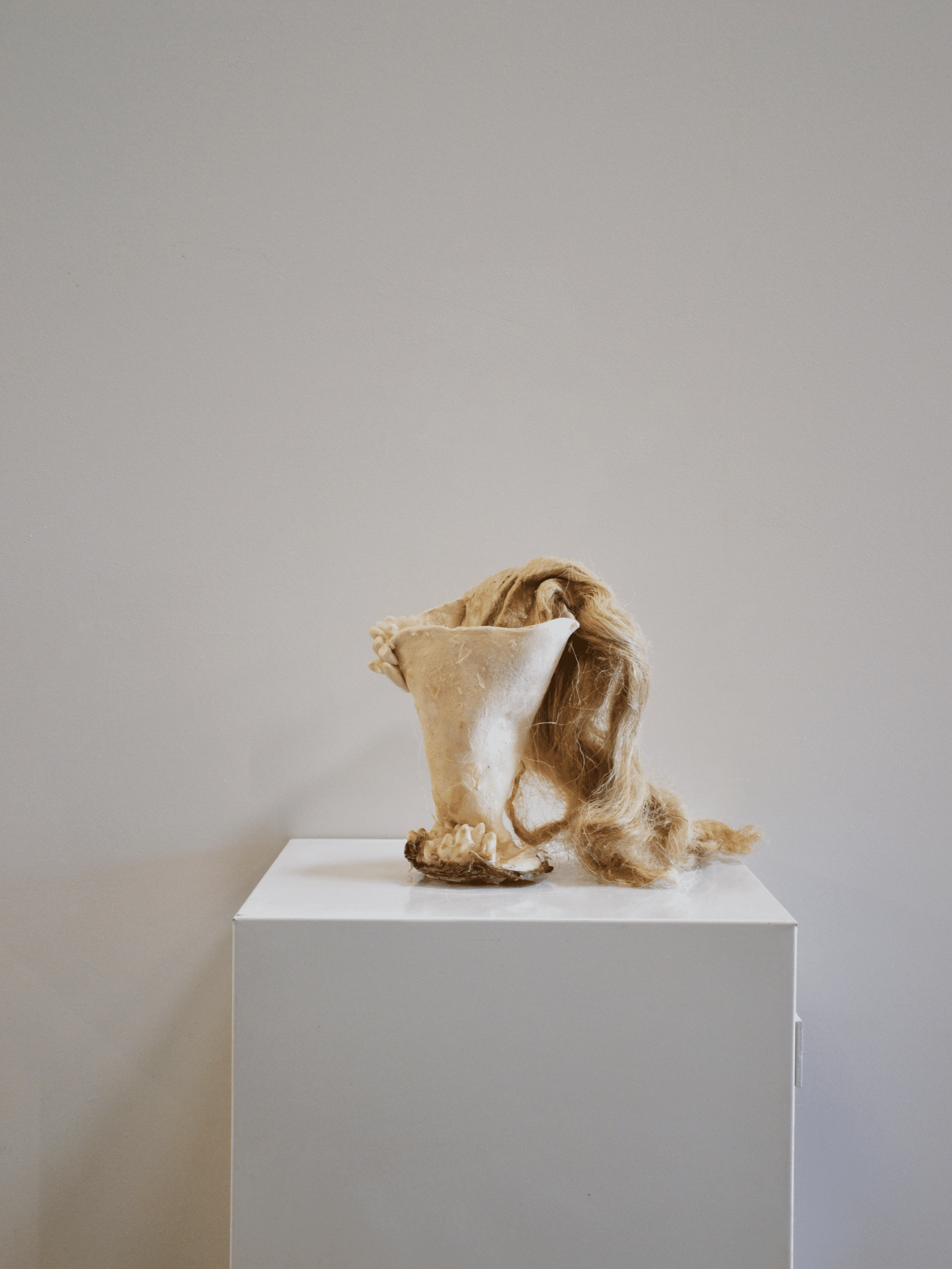 Strombidae Vénus, oeuvre en grès et filasse, de Camille Benbournane