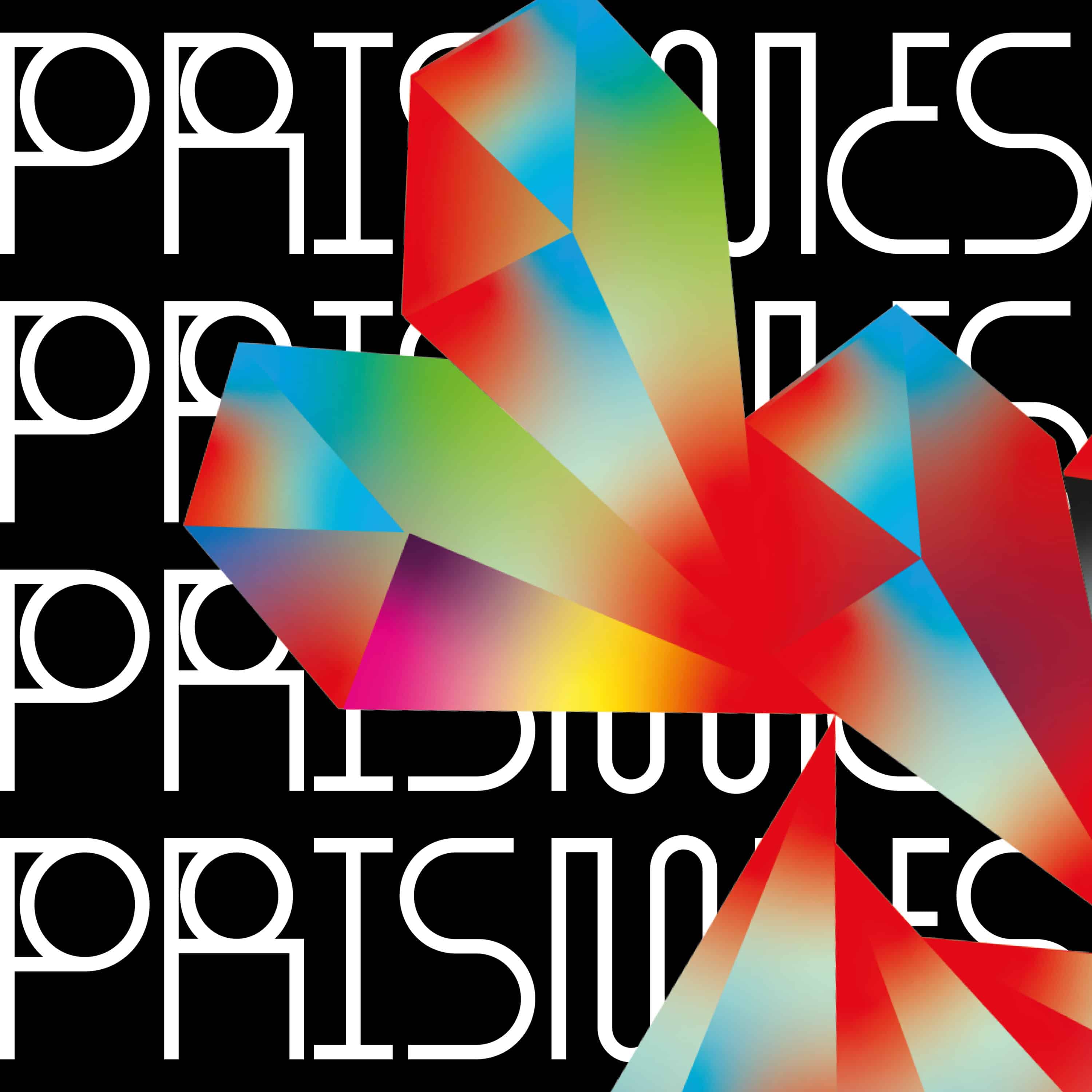 Prismes, un programme d'artiste associé à un territoire, pendant un an.