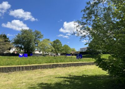 Vue d'exposition de l'eoeuvre Comme un dimanche au fleuve, bleu, herbe, soleil, ciel bleu,