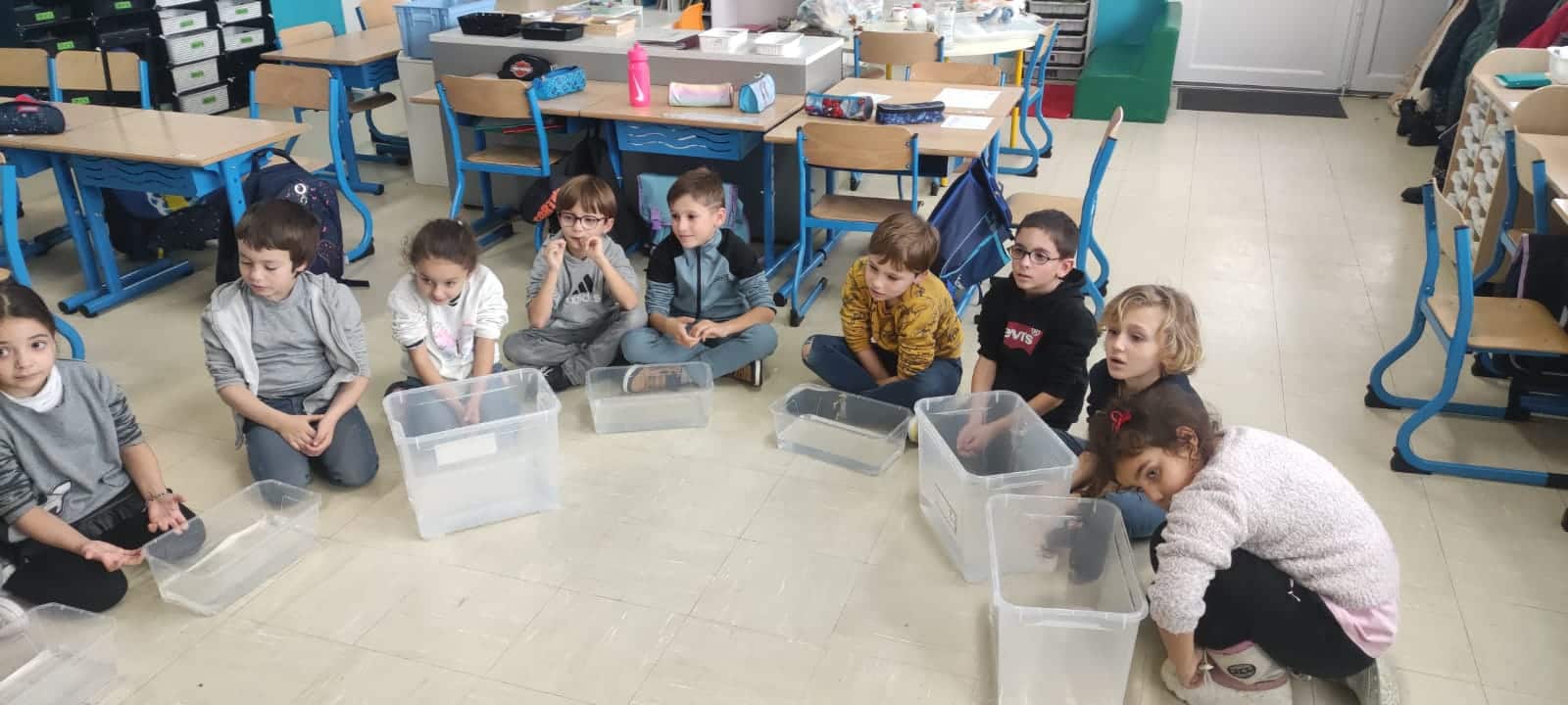 Parcours d’éducation artistique et culturelle : La Vie Aquatique, 2023-2024