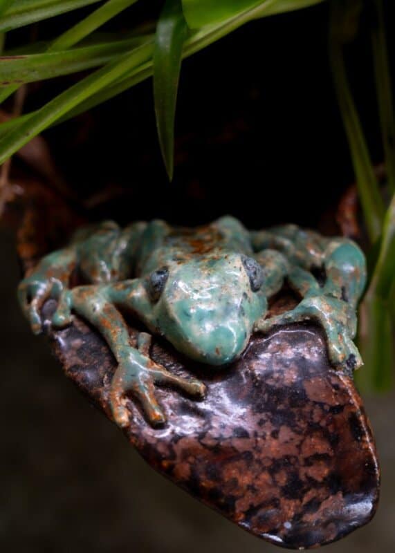 Grenouille, Romane Taque Céramique, sculpture, grenouille, oeuvre, Romane Taque