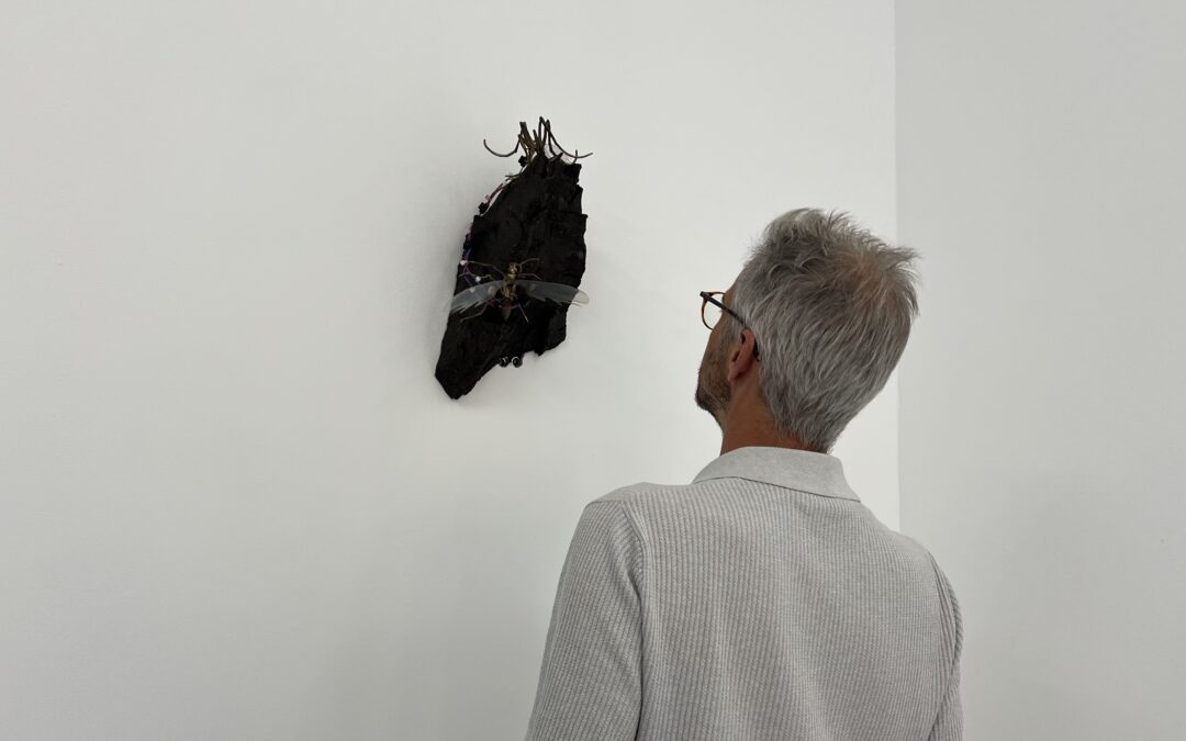 Solo show de Romane Taque – Retour en images