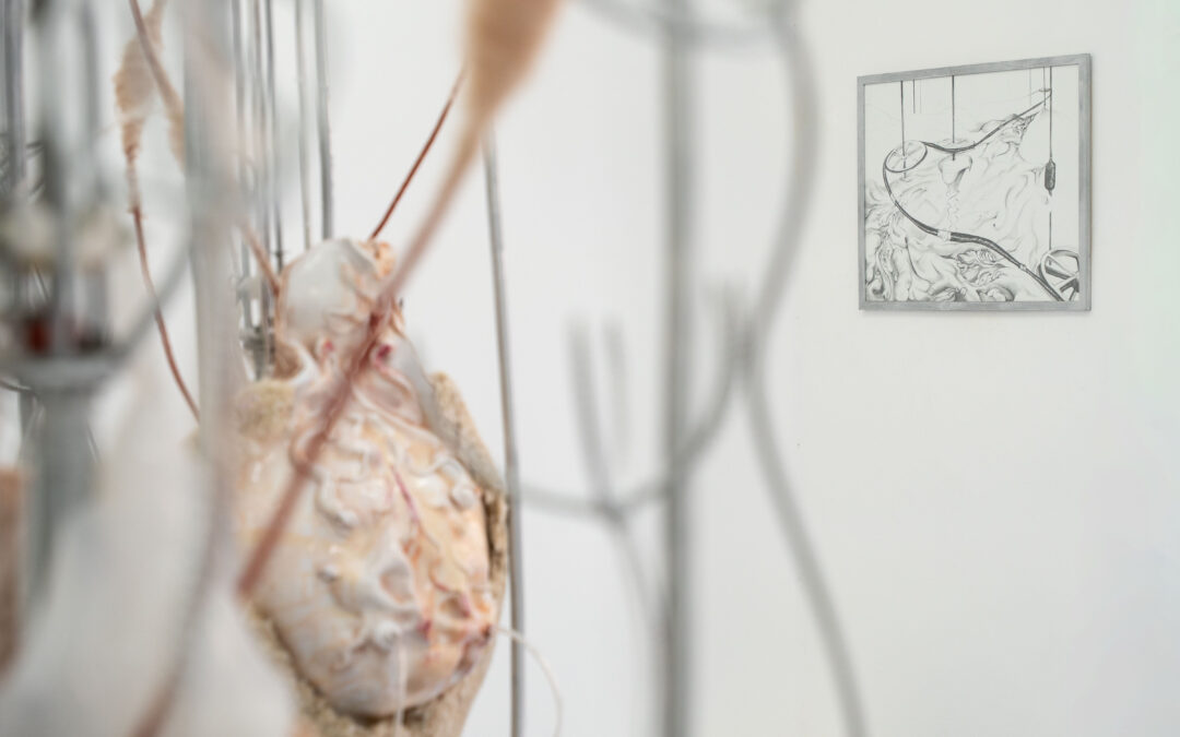 Interférences d&rsquo;Anaïs Gauthier : Retour en images