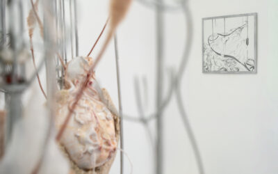 Interférences d’Anaïs Gauthier : Retour en images