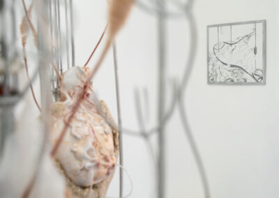 Vues de l'exposition Interférences d'Anaïs Gauthier - crédits Barbara Fecchio.