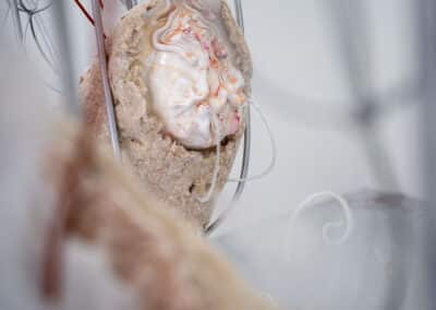 Vues de l'exposition Interférences d'Anaïs Gauthier - crédits Barbara Fecchio.