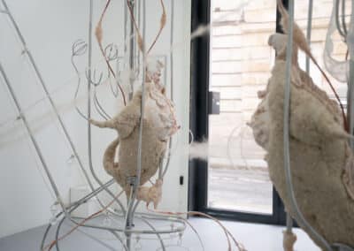 Vues de l'exposition Interférences d'Anaïs Gauthier - crédits Barbara Fecchio.