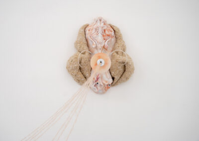 Vues de l'exposition Interférences d'Anaïs Gauthier - crédits Barbara Fecchio.