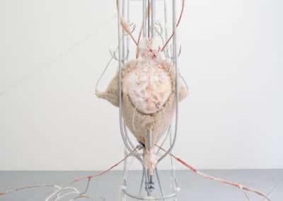 Vues de l'exposition Interférences d'Anaïs Gauthier - crédits Barbara Fecchio.